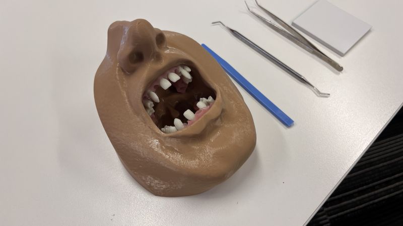 Photo - close-up of a 3D-printed dental training model shaped like a human lower face with an open mouth, showing partially installed artificial teeth. Several pink gum-like dental pieces with small tooth pegs are placed on the white surface in the background.