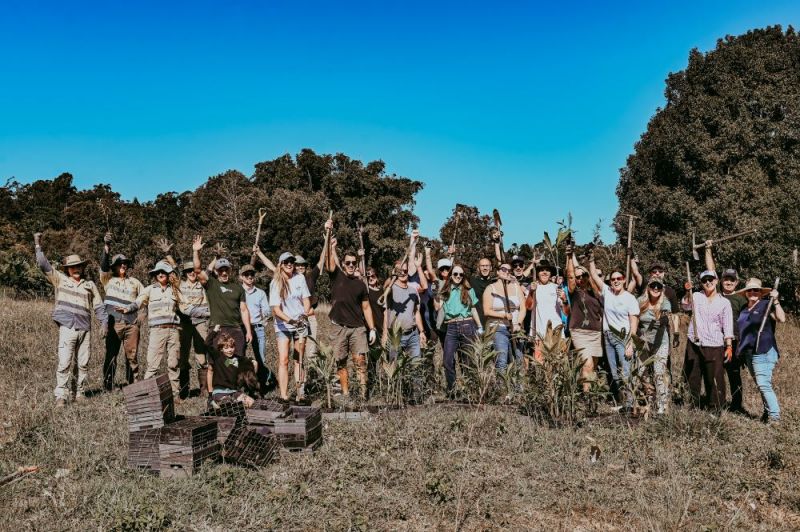 Photo of group of people celebrating with tools and seedlings at a reforestation site.